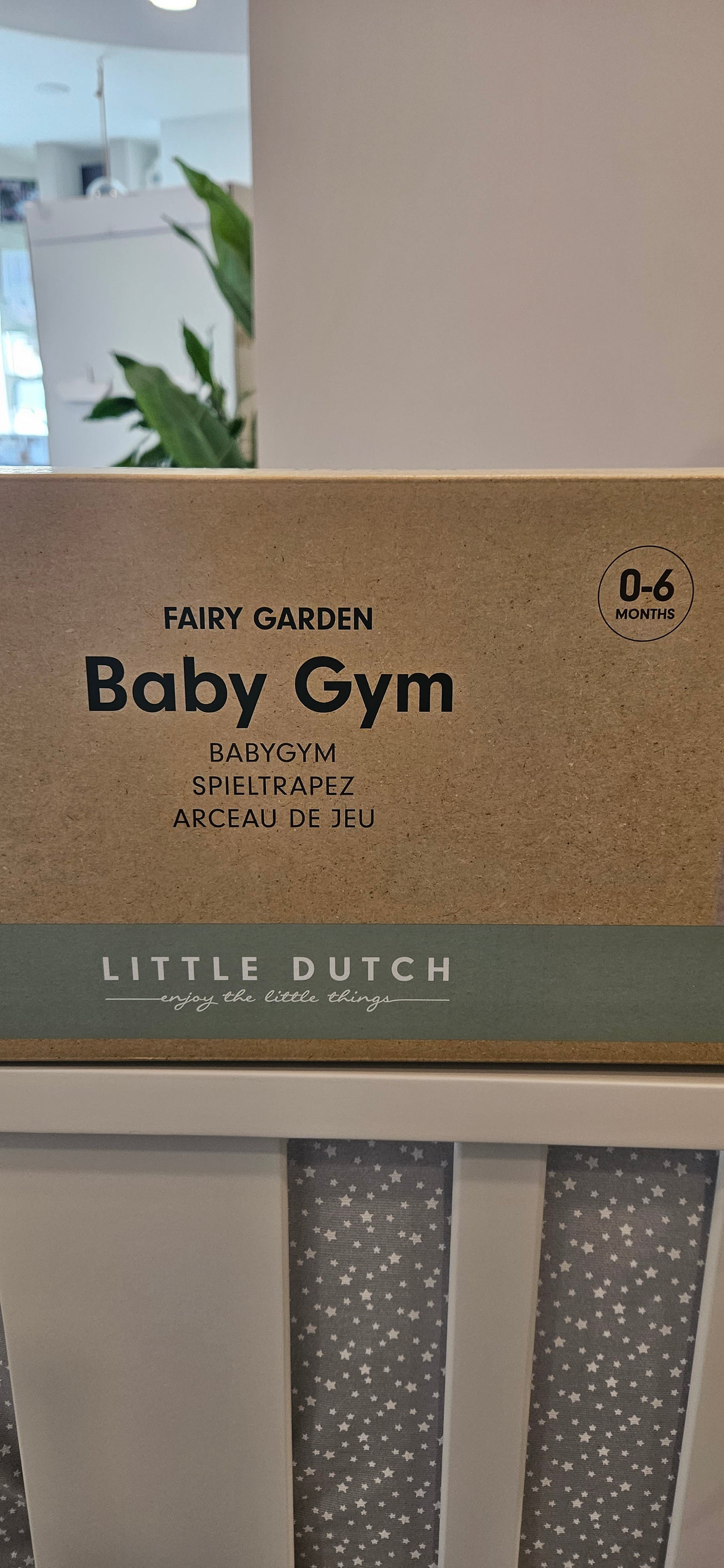 V2732 LITTLE DUTCH - BABY GYM FAIRY GARDEN